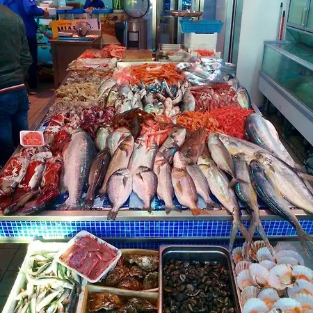 Alojamento de Acomodação e Pequeno-almoço Colapesce